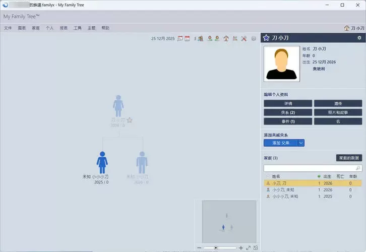 族谱制作工具My Family Tree v16.0.0.0绿色版