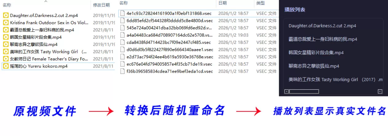 老司机隐私播放器SecureVault Player V0.8.9