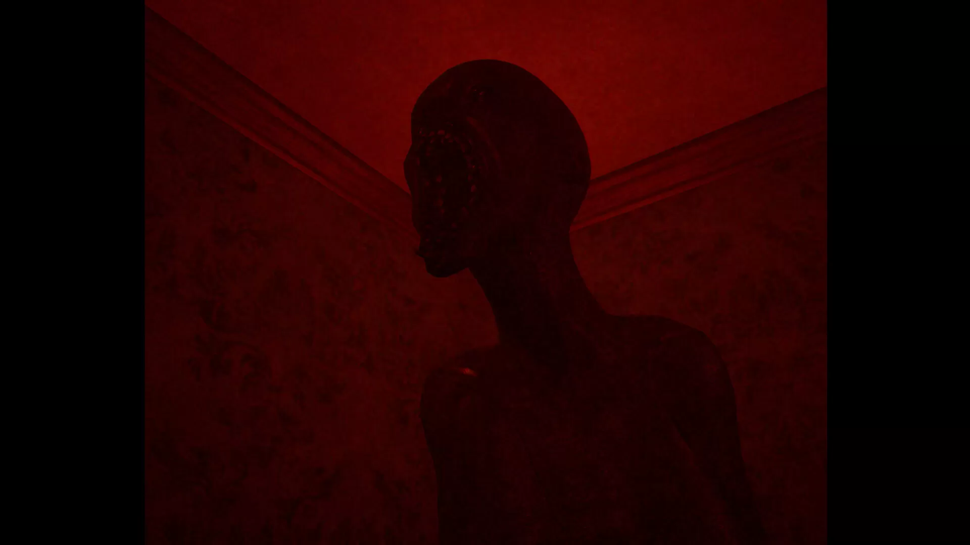 芭芭莉娅/BABULYA