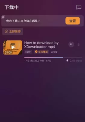 X Downloader X下载器v2.3.6 高级版