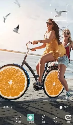 Picsart美易 v29.0.10高级版